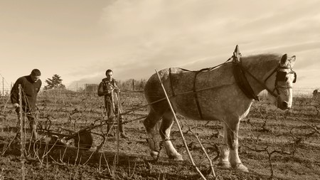 saion hiver domaine joncy 3